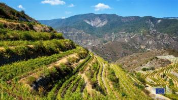 view of a mediterranean agricultural landscape 