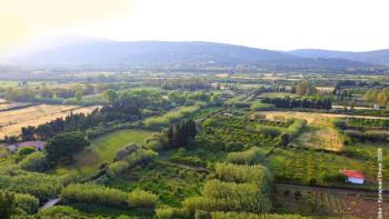 agricultural landscape seen from above
