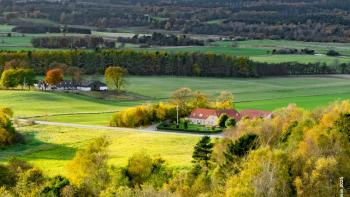agricultural landscape seen from above