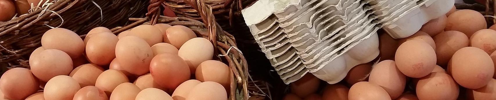 eggs