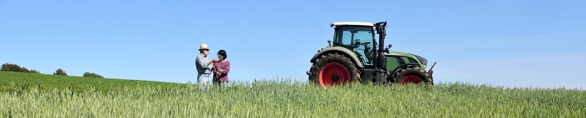 tractor in a field