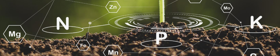 small plant growing in soil and surrounded by symbols of chemical elements