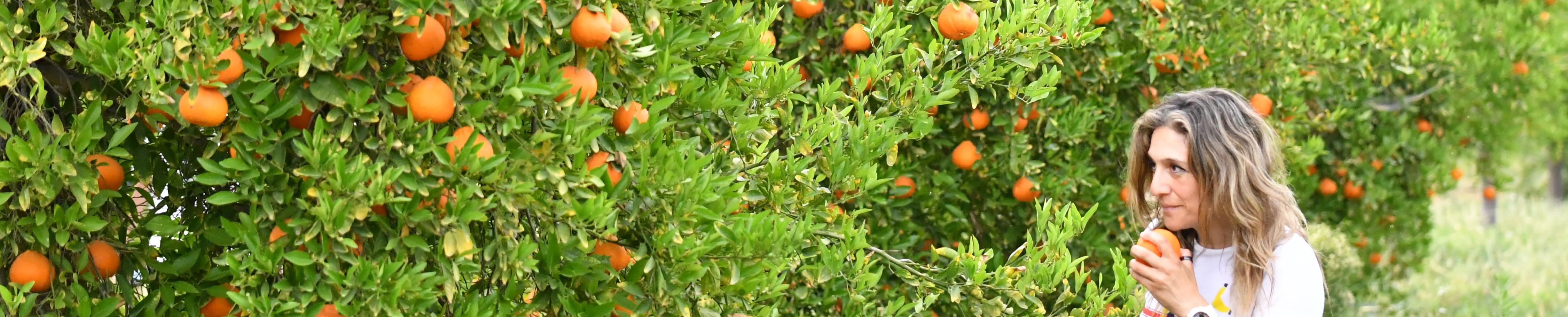 woman farmer in front of an orange tree