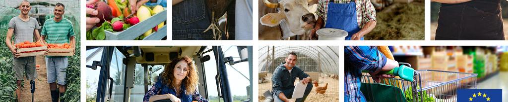 patchwork of farmers at work