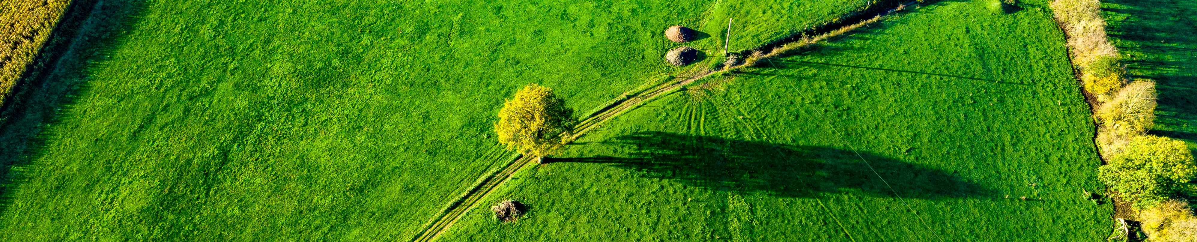 aerial view of a green field