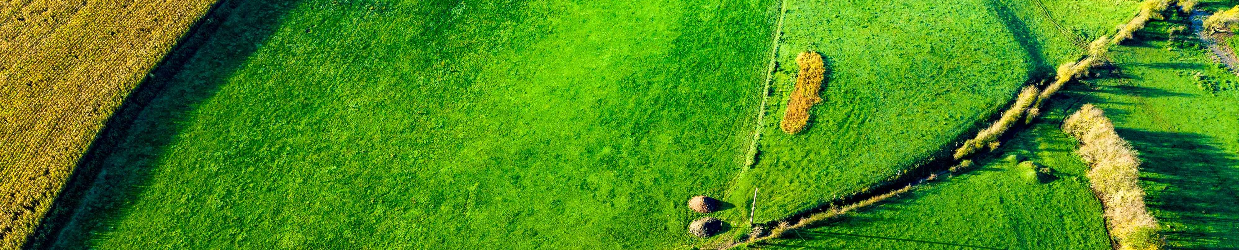 aerial view of a green field