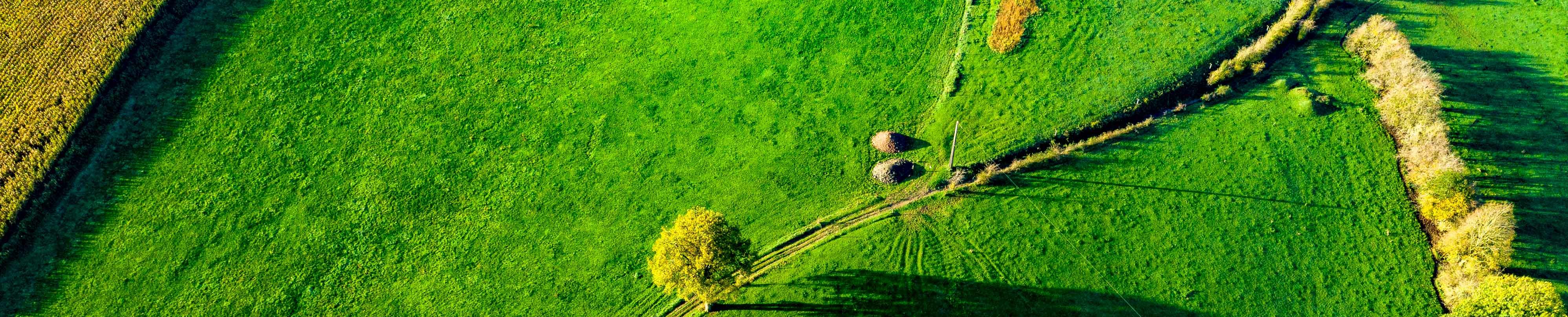 aerial view of an agricultura landscape