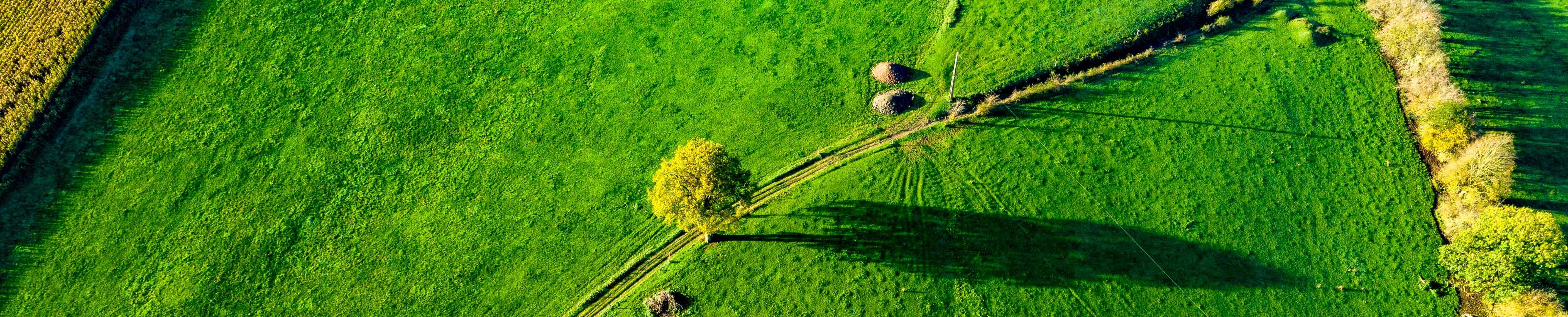aerial view of a green field