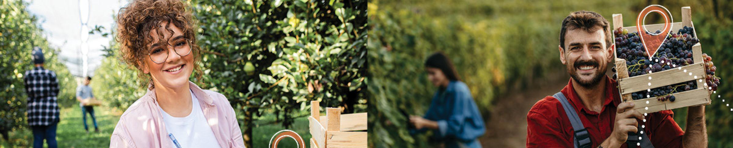 patchwork of images with farmers and farming practices