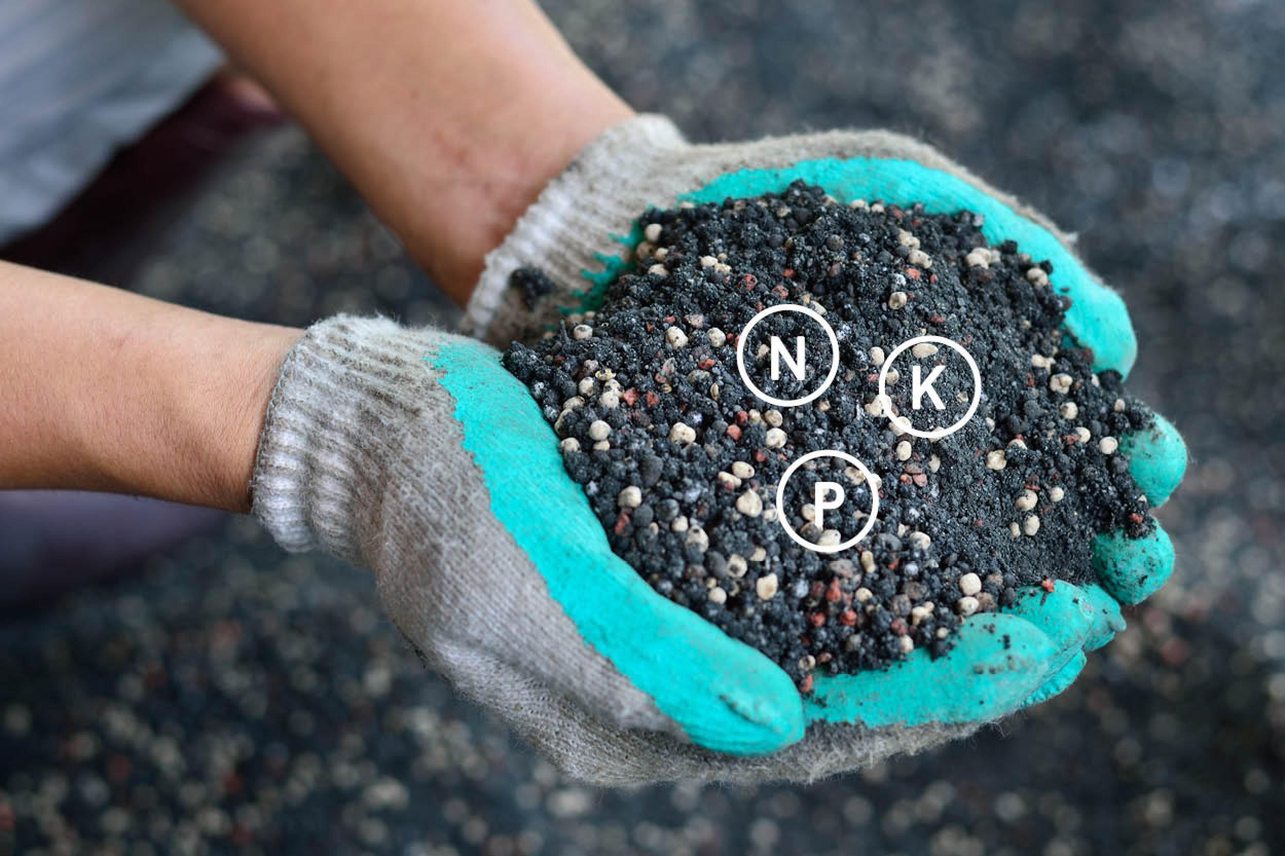 two hands holding soil and fertilisers