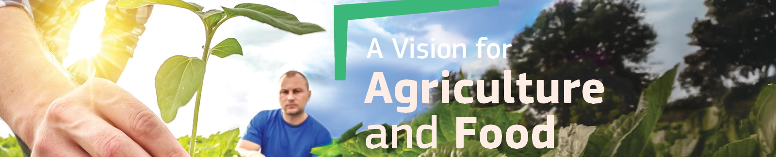 farmer in a field keepin a young plant in his hand