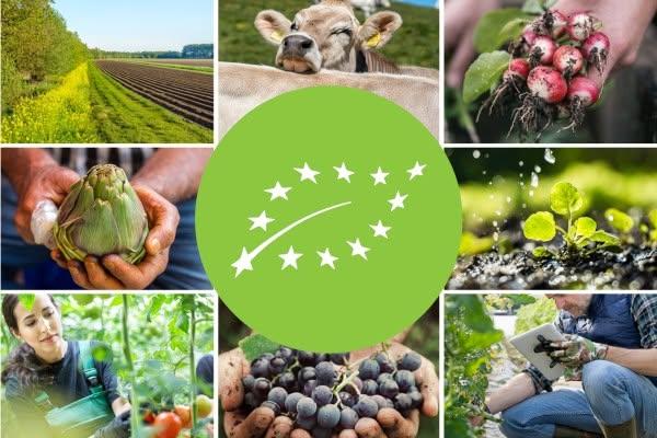 colorful collage illustrating organic farming, sustainable agriculture, and natural food production.  At the center is a large green circle containing the European Union organic farming logo, made up of twelve white stars arranged in the shape of a leaf.