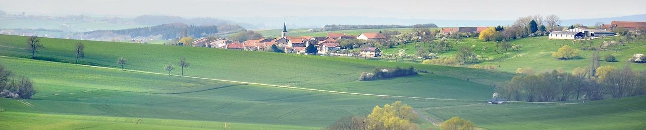 aerial view of an agricultural landscape