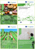 patchwork of covers of the four reports