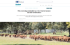 livestock on a pasture