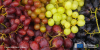 different types of grapes