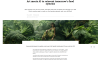 Text and AI created visual representing a young woman in a brocolli environment