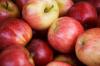apples