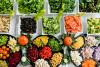 colourful aliments seen from above