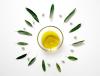 a cup of olive oil surrounded by olive tree leaves